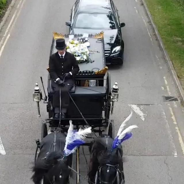 Horses and Cortege
