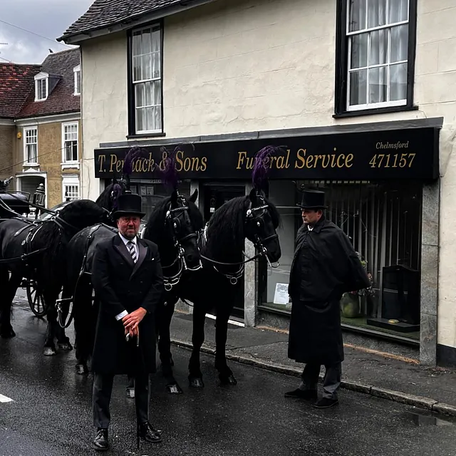 Horse and carriage