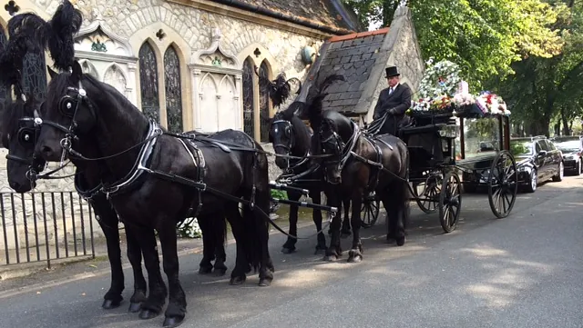 Horse drawn carriage