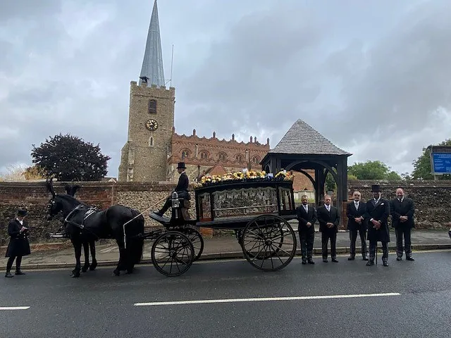 Horse and carriage