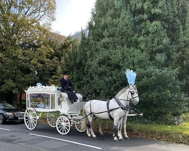 Horse and carriage