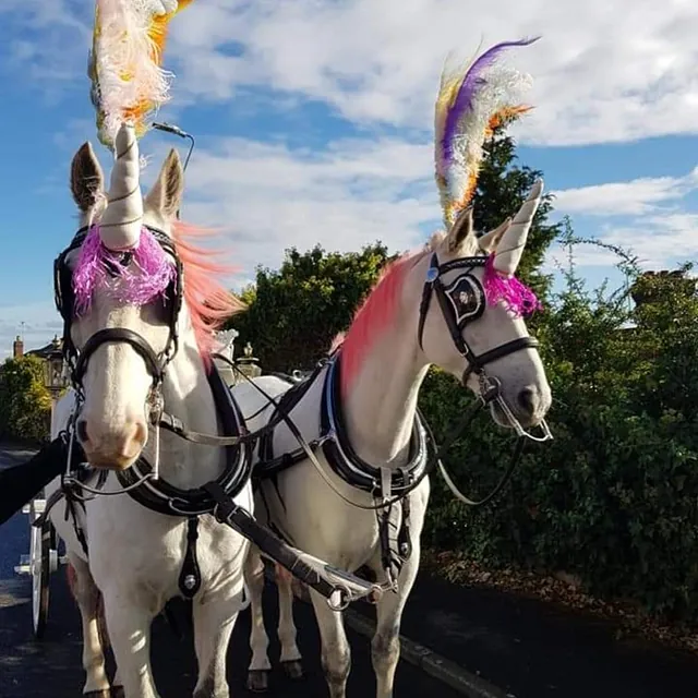 Horse and carriage