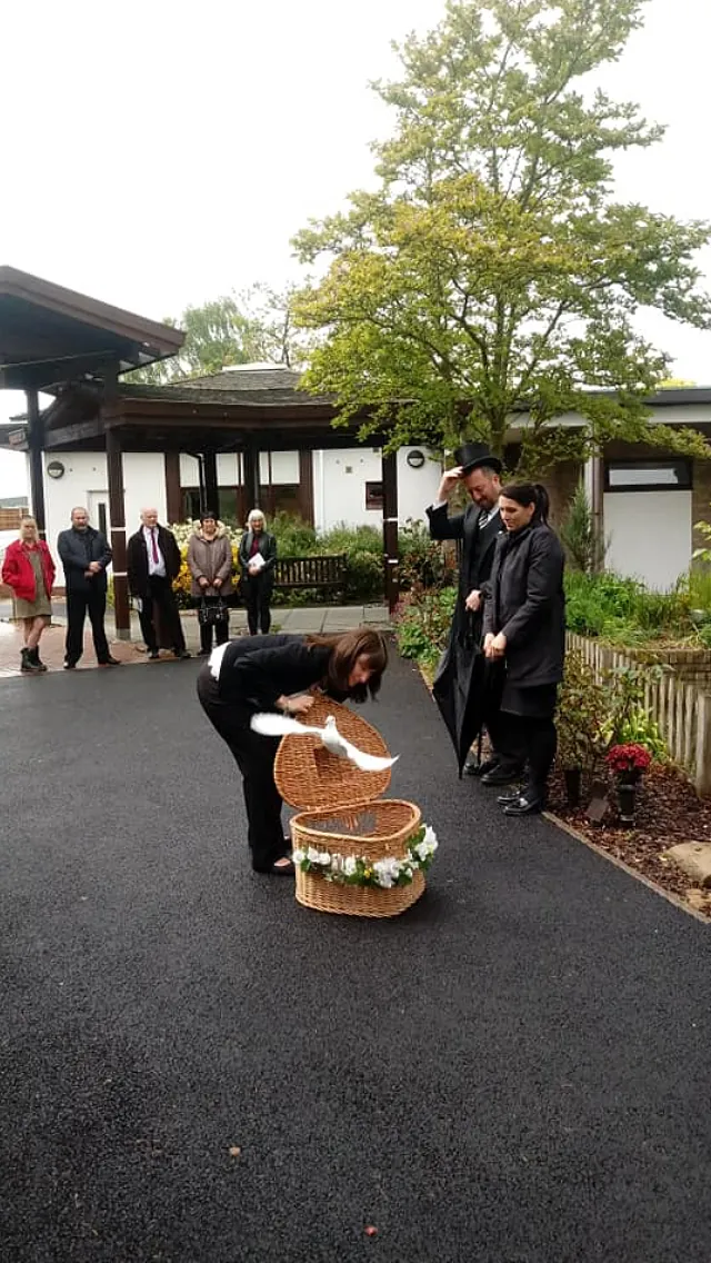 Dove release
