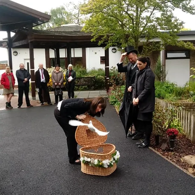 Dove release