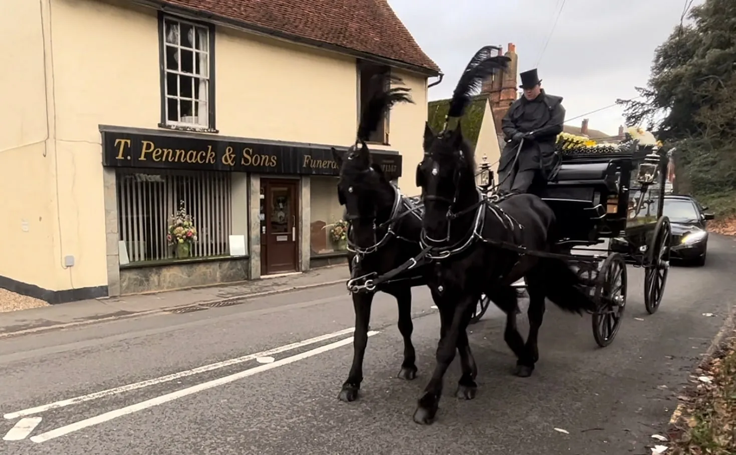 Horse and carriage
