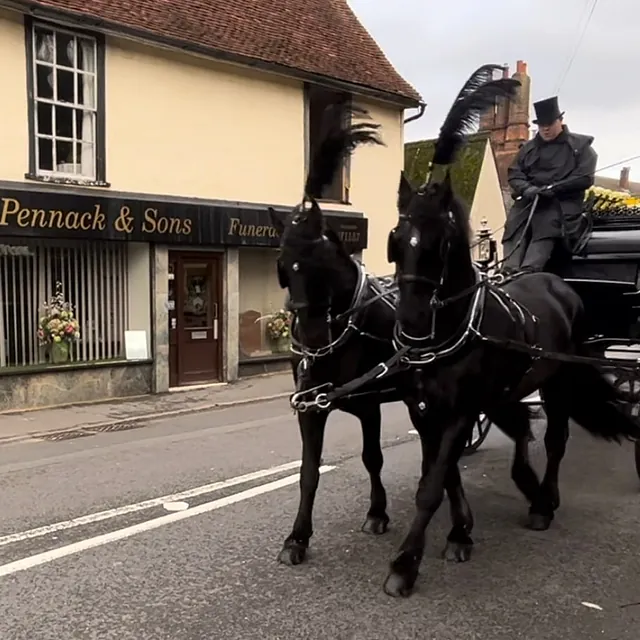 Horse and carriage